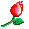 Rosa animada :rosaanimada: